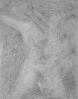 Gordon Aitcheson drawing / painting: The Sun Worshipper graphite rubbing on paper